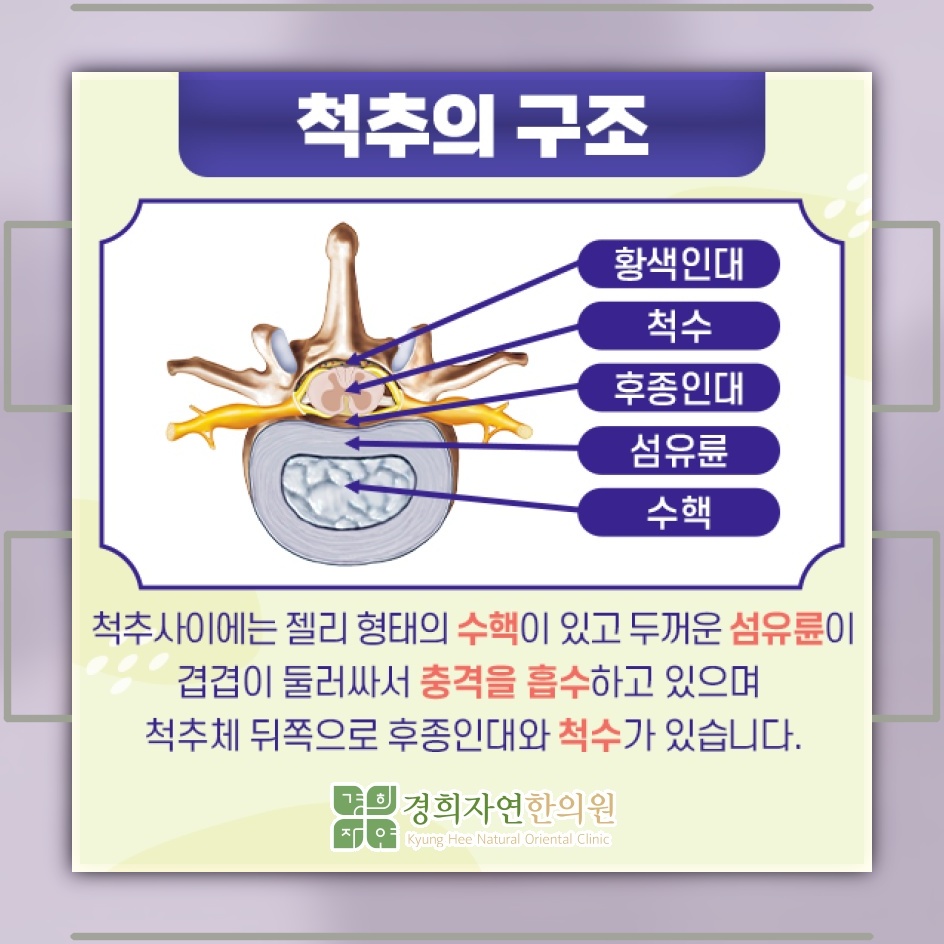 젊은 세대 허리디스크, 갑작스러운 자세 변화가 영향을 줄 수 있어