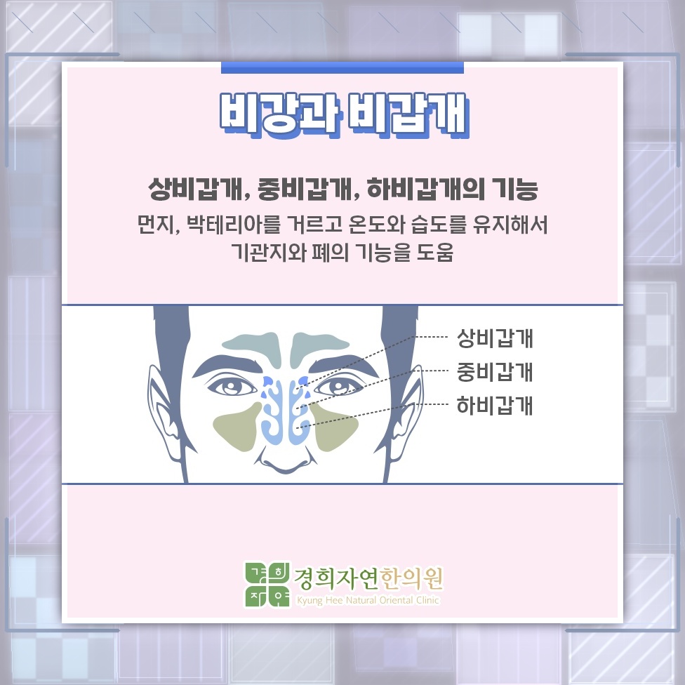 재채기만으로 설명하기 어려운 알레르기비염의 불편
