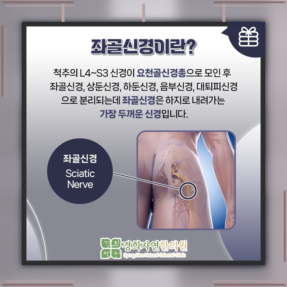 허리부터 다리까지 이어지는 좌골신경통의 저림 증상