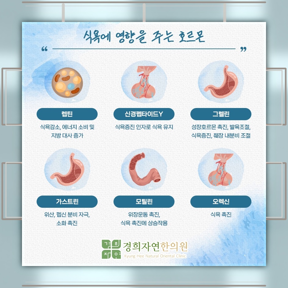 아이에게 나타난 식욕부진, 식사를 줄이는 이유 살펴보기