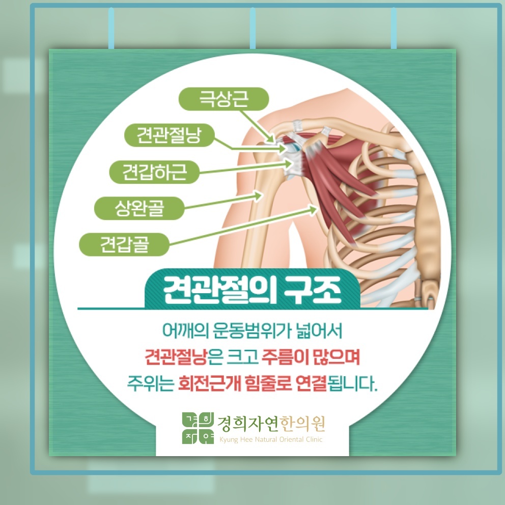 어깨가 굳어가는 오십견, 회복을 위한 관리 시기
