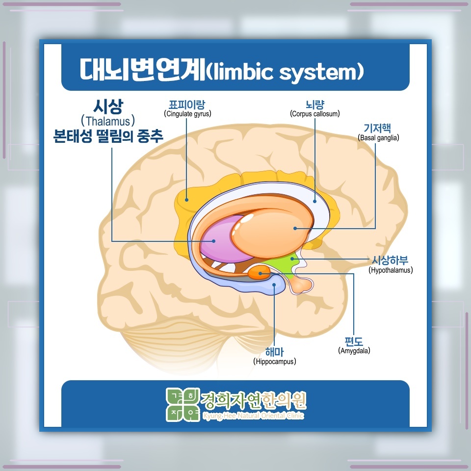 손떨림으로 자신감이 위축될 때, 본태성떨림의 증상과 원인