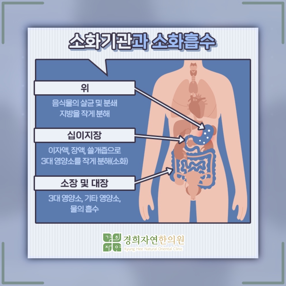 불안과 긴장이 이어질 때 심해지는 기능성소화불량